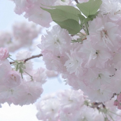 婺城福瑞交流群